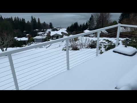 Snow in Everett Nov 2022