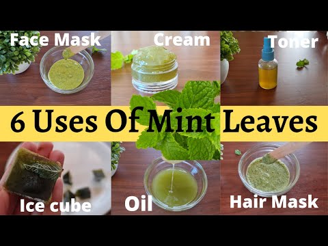 BEAUTY&CARE(EPI-122)6 USES OF MINT LEAVES|REMOVE PIMPLES,BLACK HEADS,DARK CIRCLES|SKIN BRIGHTENING ☘