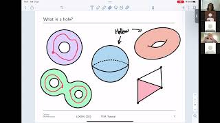 Tutorial: Topological Data Analysis (Katherine Benjamin)