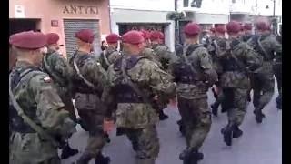 Dni NATO w Łodzi - Róża czerwono, biało kwitnie bez