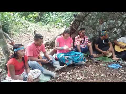 Cântico sagrado txana huya huni kuî do caucho