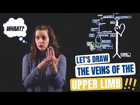 Veins of the Upper Extremity Lightboard
