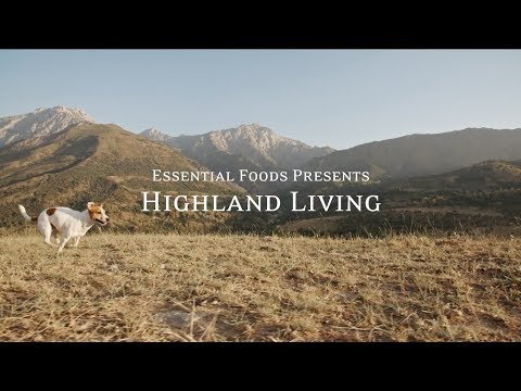 Highland Living - Hundefoder