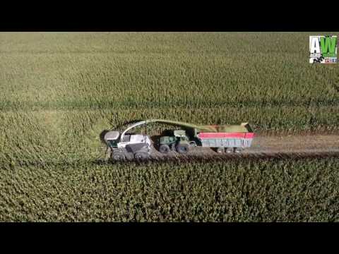 Claas Jaguar 980 Black edition -  chopping corn 2016