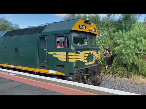 Pacific National Grain train with Green G class. 19/2/22