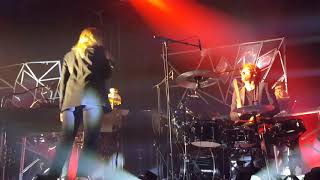 Cats On Trees - Black Lips