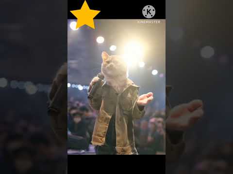 Naam hai Tera Tera. ..... himesh hits song cat video