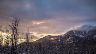 Hollis Brown - Don&#39;t Want to Miss You