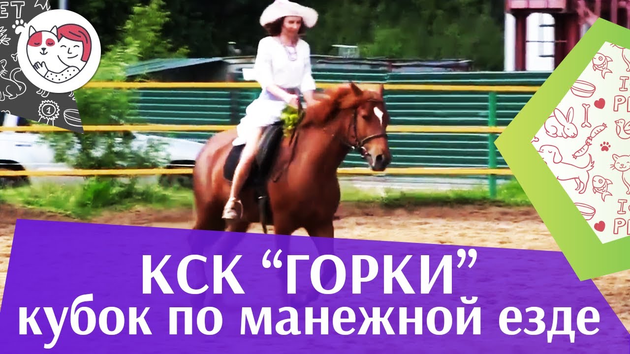 Летний кубок КСК Горки по манежной езде КЮР часть 38 на ilikepet