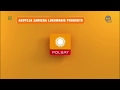Dhx Media Polsat 2020