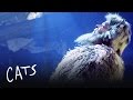Old Deuteronomy | Cats the Musical