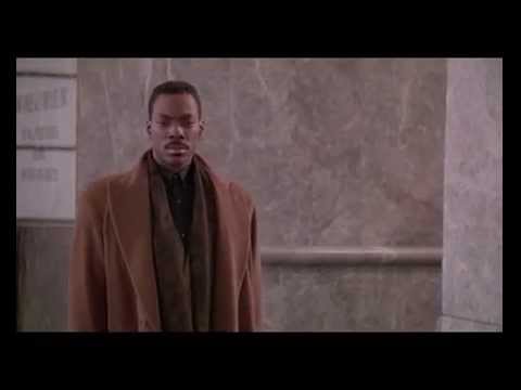 Boomerang - Dog mode:  ACTIVATED.