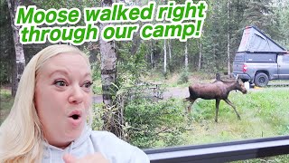 NOT THE DAY WE EXPECTED | Violett Vlogs
