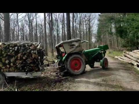 Holz machen mit dem Deuz D40 Motorsäge MS 260 und Spalthammer