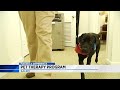 Pet Therapy Program in Salem Making a Difference