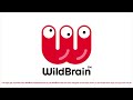 Evolution Of Wildbrain 1995 2023