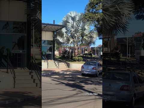 São Jorge do Patrocínio PR #saojorge #paraná #taxi #viagem #shorts #shortvideo #cidade #praça