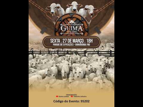 LEILÃO GUIMA LEILOES (27/03/2026 ) Leilão em Guimarânia MG