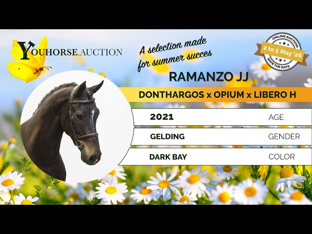 Ramanzo JJ