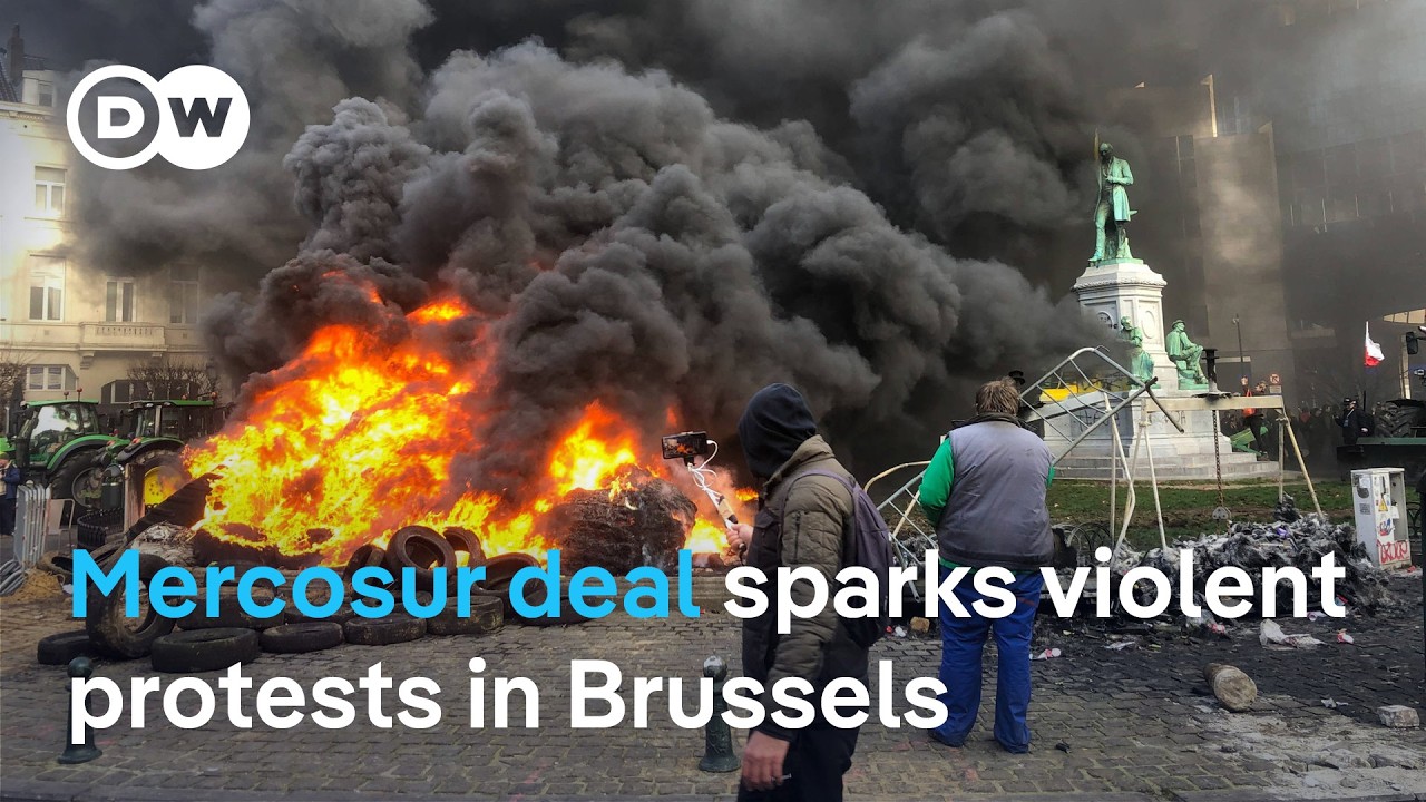 Mercosur trade deal on ice: what does it mean for South American countries in the group? | DWNews