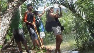preview picture of video 'Meaningful Volunteer Project Mangrove (4 of 6)'