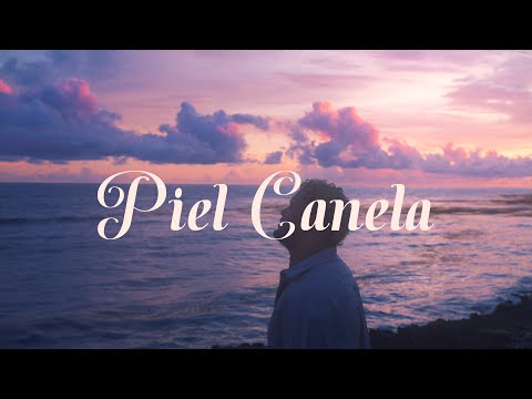 Townix - Piel Canela (Visualizer)