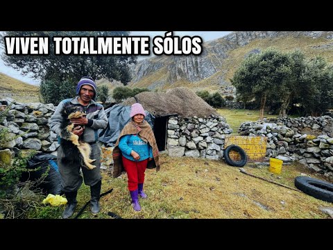 Esta pareja VIVE SÓLO en un remoto paraje de los Andes del Perú