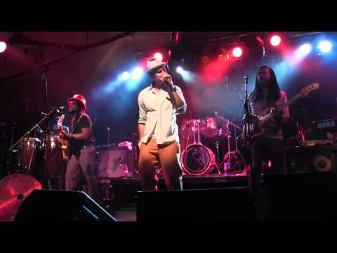 The Dualers - Run Joe