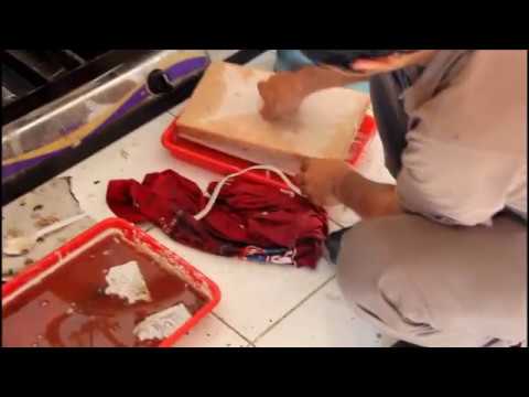 Anggota kecil dari 15 tahun Peningkatan potensi obat tradisional