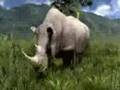 Africa Afrika For PS3 Coming Soon