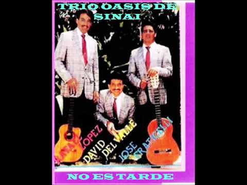 TRIO OASIS DE SINAI (NO ES TARDE) CD COMPLETO