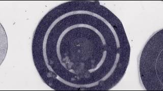 The Slow Country - Firing Line video