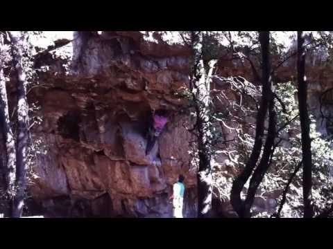 Excalibur 12d Arrayán