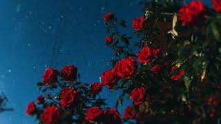 (Slowed) Peter Cottontale - Forever Always ft. Chance the Rapper, Daniel Caesar &amp; Rex Orange County