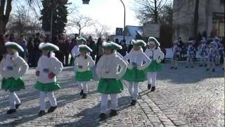 preview picture of video 'Faschingszug ESB 2012.mpg'
