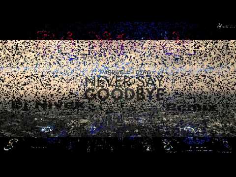 Mightyfools vs Hardwell vs Martin Garix - Never Say Goodbye(DJ Nivek remix)
