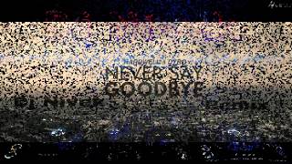 Mightyfools vs Hardwell vs Martin Garix - Never Say Goodbye(DJ Nivek remix)