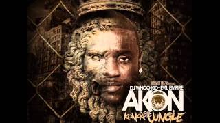 Akon- Salute 100 Ya&#39;ll Ft Fabolous &amp; Money J (HQ) (NEW)