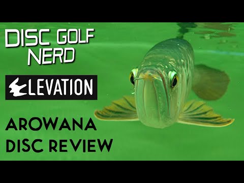 Elevation Discs Arowana Disc Golf Disc Review - Disc Golf Nerd