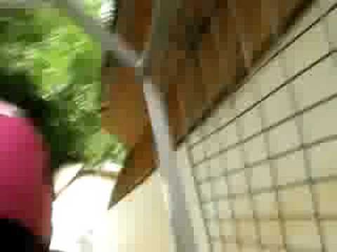 Sigulda Bobsled - one minute of mayhem