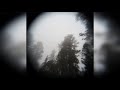 Carol Anne McGowan Sycamore Trees Jimmy Scott¹ Cover