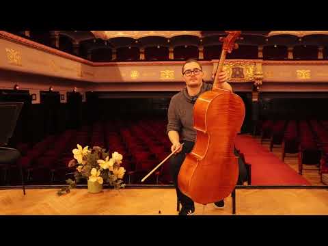 Paul Weis Master Cello 4/4 Hand-Made in Romania 2021 image 11