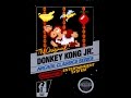 Donkey Kong Jr NES Level 2