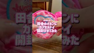 ミニーのカプセルトイ🎀田舎のオカンが開封してみた❤︎ ディズニーランド￤ミニーのパルパルーザ￤開封動画
