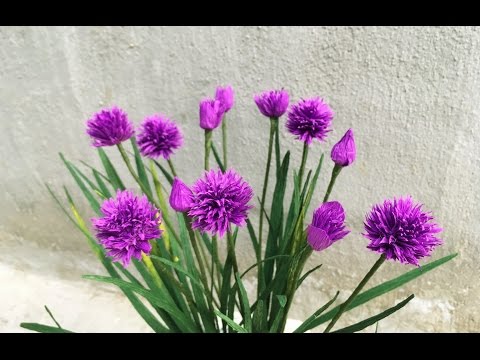 ABC TV | How To Make Chives Paper Flowers From Crepe Paper - Craft Tutorial
