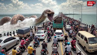 Download lagu Viral!! Giant Snake Guardian of Suramadu Bridge Appears, Shocking Residents... mp3