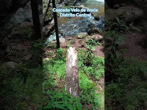 💥Cascada Velo de novia en Distrito Central, Honduras