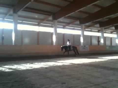 Riviero B 1 monat unterm Sattel