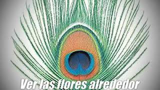 XTC - Harvest Festival (Sub. Español)