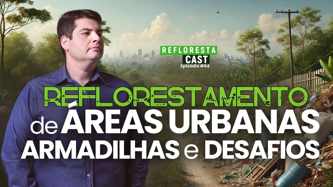 Por Dentro do Reflorestamento Urbano: Como Evitar Armadilhas e Prejuízos